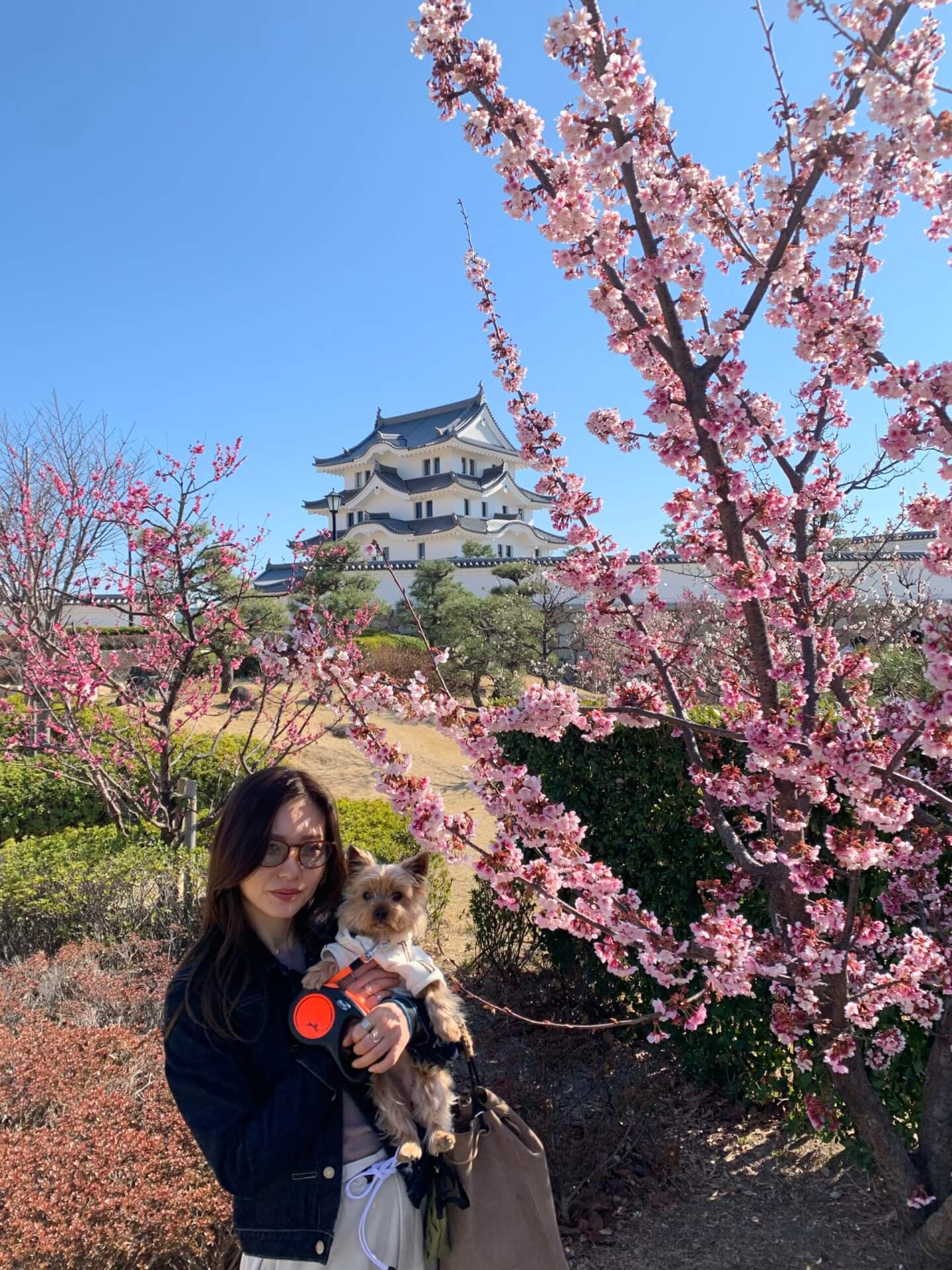 井ノ坂有里さん